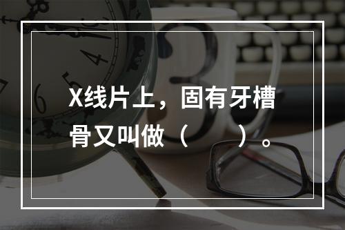 X线片上，固有牙槽骨又叫做（　　）。