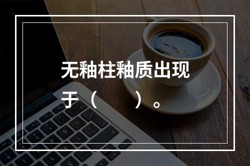 无釉柱釉质出现于（　　）。