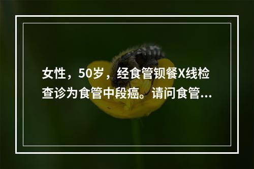 女性，50岁，经食管钡餐X线检查诊为食管中段癌。请问食管癌的