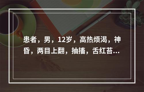 患者，男，12岁，高热烦渴，神昏，两目上翻，抽搐，舌红苔黄，