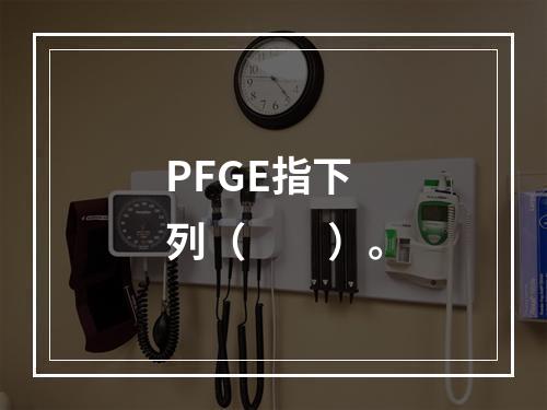 PFGE指下列（　　）。