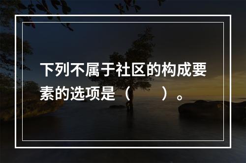 下列不属于社区的构成要素的选项是（　　）。