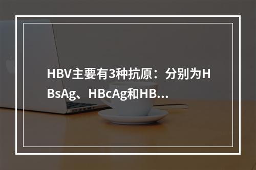 HBV主要有3种抗原：分别为HBsAg、HBcAg和HBe