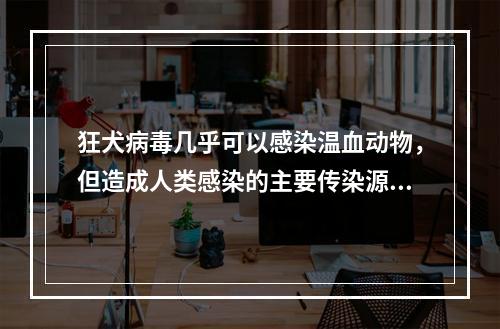 狂犬病毒几乎可以感染温血动物，但造成人类感染的主要传染源是