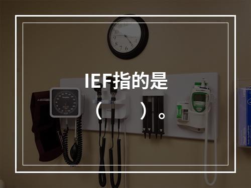 IEF指的是（　　）。