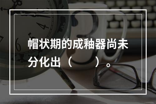 帽状期的成釉器尚未分化出（　　）。