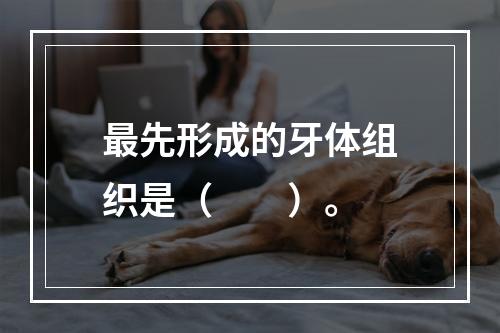 最先形成的牙体组织是（　　）。