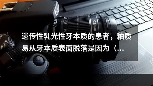 遗传性乳光性牙本质的患者，釉质易从牙本质表面脱落是因为（　　