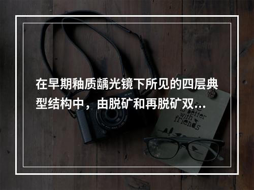 在早期釉质龋光镜下所见的四层典型结构中，由脱矿和再脱矿双重作