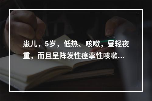 患儿，5岁，低热、咳嗽，昼轻夜重，而且呈阵发性痉挛性咳嗽，