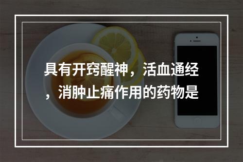 具有开窍醒神，活血通经，消肿止痛作用的药物是