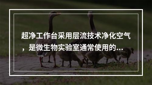 超净工作台采用层流技术净化空气，是微生物实验室通常使用的无