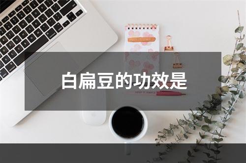 白扁豆的功效是