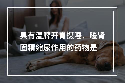 具有温脾开胃摄唾、暖肾固精缩尿作用的药物是