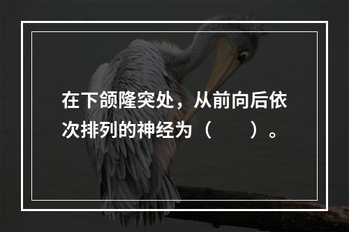 在下颌隆突处，从前向后依次排列的神经为（　　）。