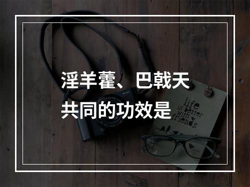 淫羊藿、巴戟天共同的功效是