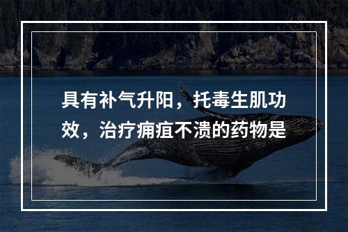 具有补气升阳，托毒生肌功效，治疗痈疽不溃的药物是