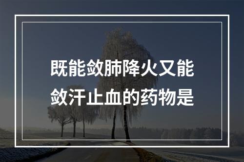 既能敛肺降火又能敛汗止血的药物是