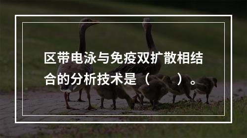 区带电泳与免疫双扩散相结合的分析技术是（　　）。