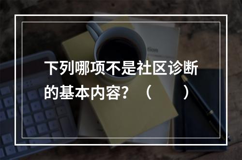 下列哪项不是社区诊断的基本内容？（　　）