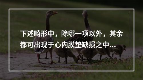 下述畸形中，除哪一项以外，其余都可出现于心内膜垫缺损之中？（