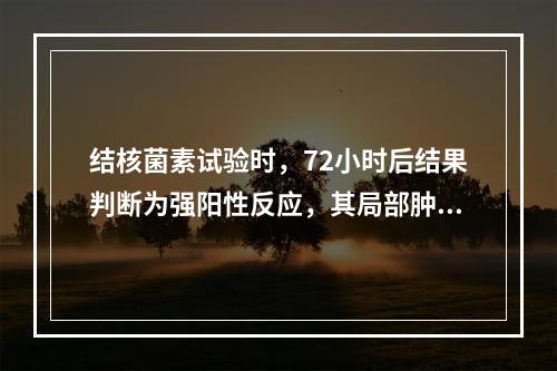 结核菌素试验时，72小时后结果判断为强阳性反应，其局部肿大