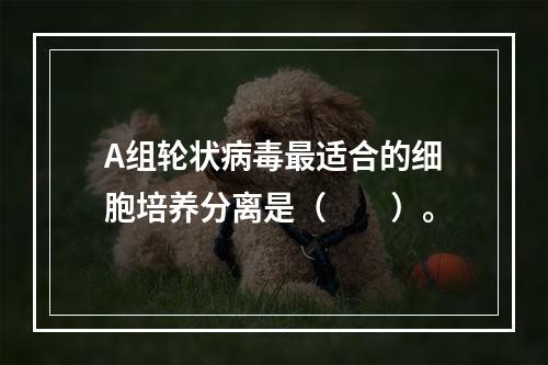 A组轮状病毒最适合的细胞培养分离是（　　）。