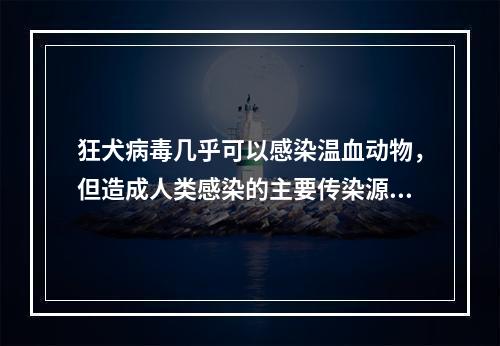 狂犬病毒几乎可以感染温血动物，但造成人类感染的主要传染源是