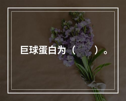 巨球蛋白为（　　）。