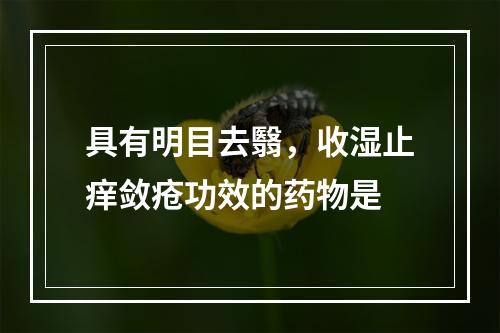 具有明目去翳，收湿止痒敛疮功效的药物是