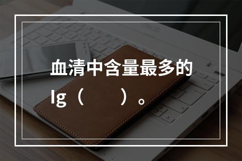 血清中含量最多的Ig（　　）。