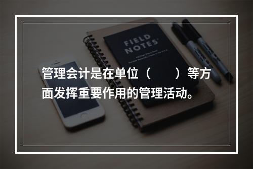 管理会计是在单位（　　）等方面发挥重要作用的管理活动。