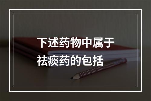 下述药物中属于祛痰药的包括