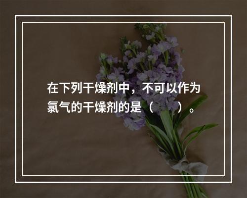 在下列干燥剂中，不可以作为氯气的干燥剂的是（　　）。