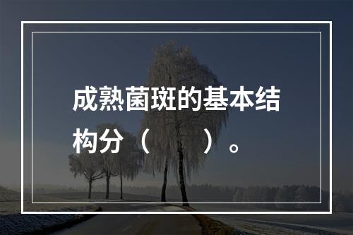 成熟菌斑的基本结构分（　　）。