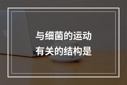 与细菌的运动有关的结构是