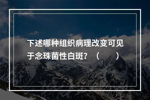 下述哪种组织病理改变可见于念珠菌性白斑？（　　）