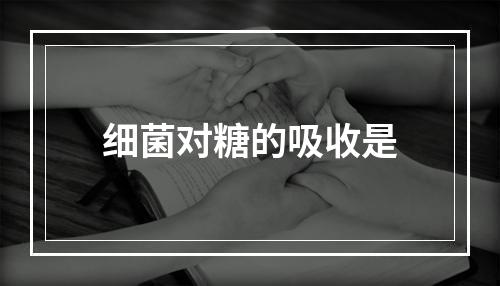 细菌对糖的吸收是