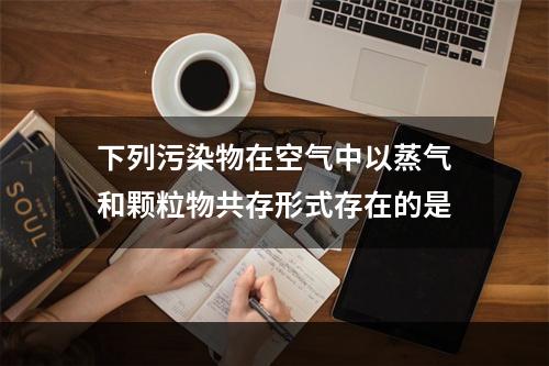 下列污染物在空气中以蒸气和颗粒物共存形式存在的是