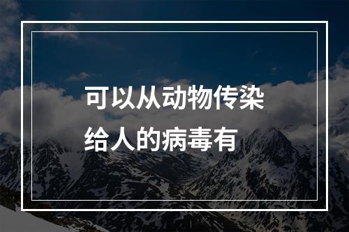 可以从动物传染给人的病毒有