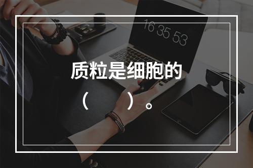 质粒是细胞的（　　）。