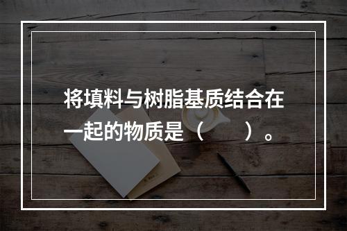 将填料与树脂基质结合在一起的物质是（　　）。