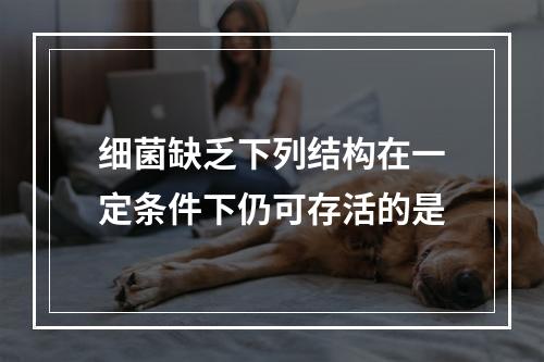 细菌缺乏下列结构在一定条件下仍可存活的是