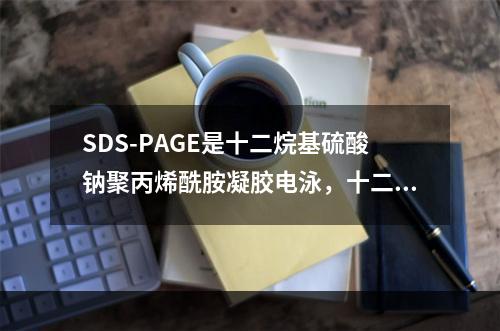 SDS-PAGE是十二烷基硫酸钠聚丙烯酰胺凝胶电泳，十二烷基