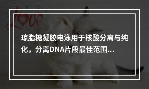 琼脂糖凝胶电泳用于核酸分离与纯化，分离DNA片段最佳范围为