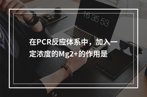 在PCR反应体系中，加入一定浓度的Mg2+的作用是