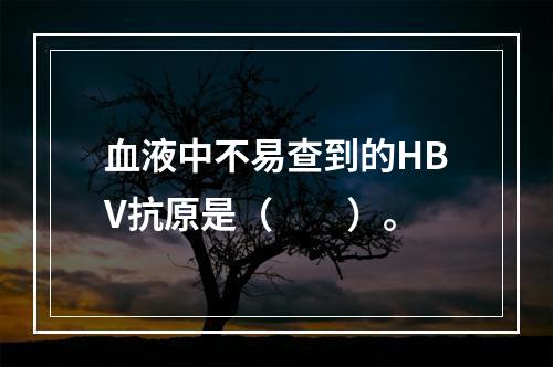 血液中不易查到的HBV抗原是（　　）。