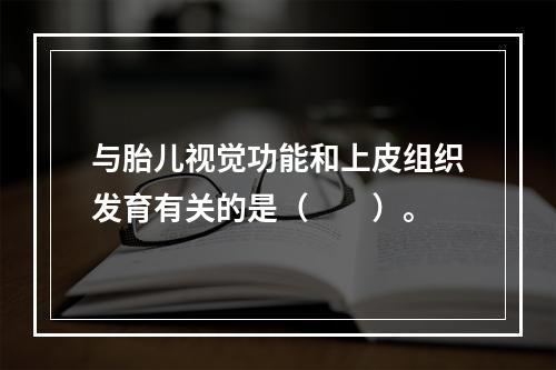 与胎儿视觉功能和上皮组织发育有关的是（　　）。