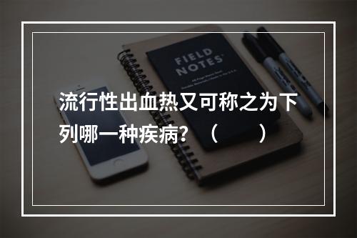 流行性出血热又可称之为下列哪一种疾病？（　　）