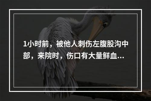 1小时前，被他人刺伤左腹股沟中部，来院时，伤口有大量鲜血涌出